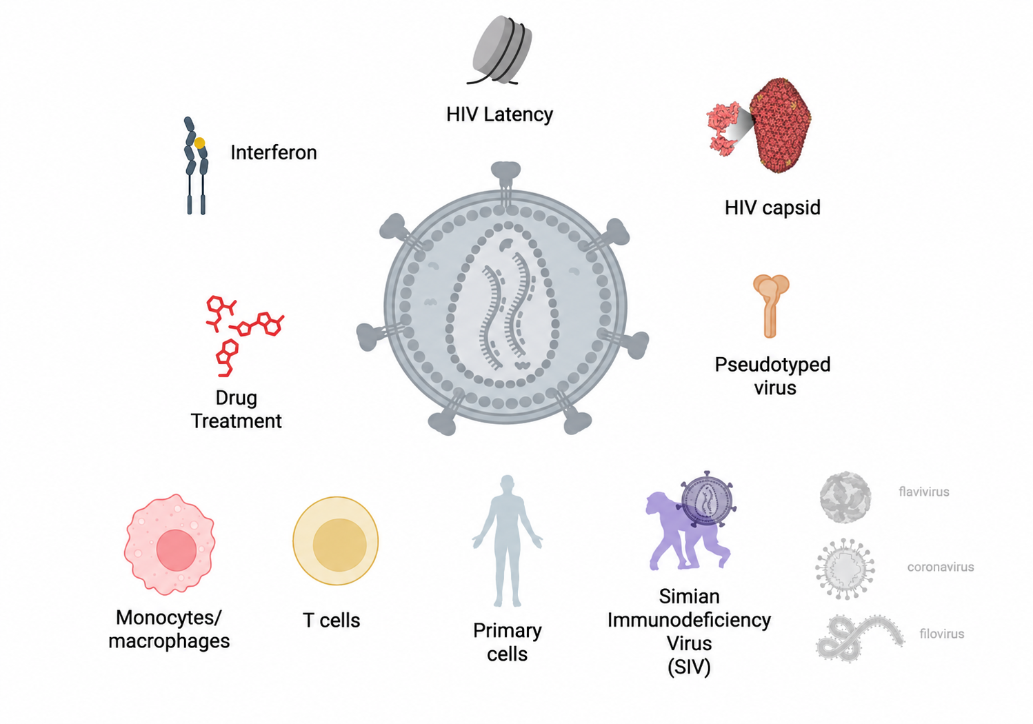 CRISPRvirus screen categories